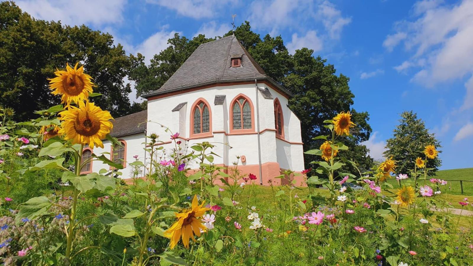 Ferienhaus Deine Zeit Mit Sauna Und Wallbox Nettersheim Kültér fotó